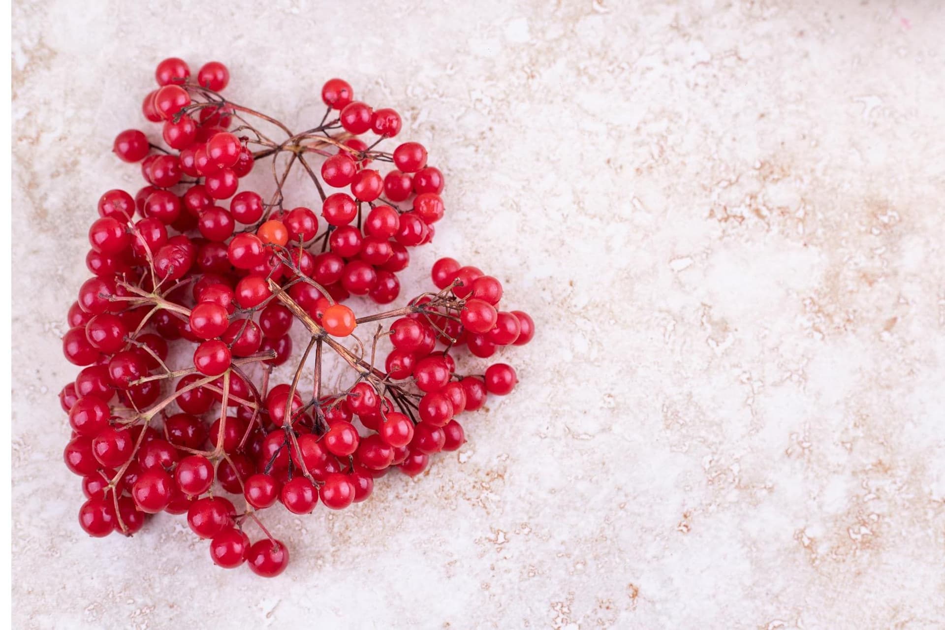 Does cranberry juice make you poop?